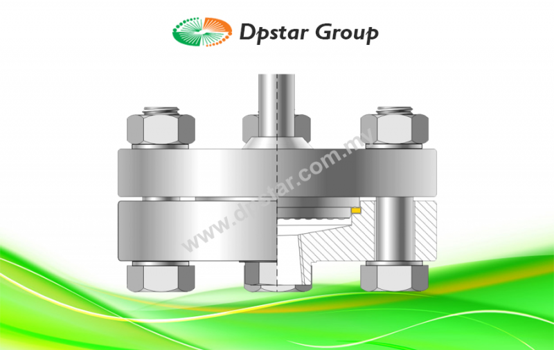 Threaded Seals With Large Diaphragm - Aplisens S-Comp Series