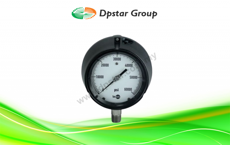 Mechanical Pressure Gauges | High Pressure - Tecsis P1718