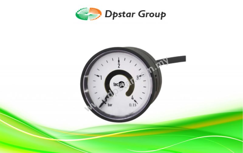 Mechanical Pressure Gauges | Standard - Tecsis P1155