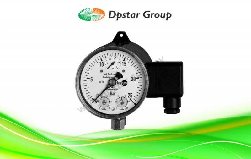 Mechanical Pressure Gauges | Standard - Tecsis P2590